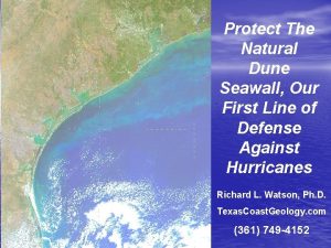 Protect The Natural Dune Seawall Our First Line