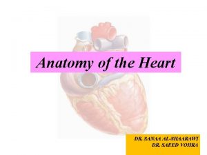 Anatomy of the Heart DR SANAA ALSHAARAWI DR