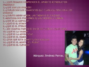 Mrquez Jimnez Perras Los organos del aparato reproductor