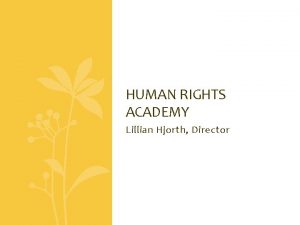 HUMAN RIGHTS ACADEMY Lillian Hjorth Director Human Rights