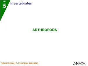 UNIT 5 Invertebrates ARTHROPODS Natural Science 1 Secondary