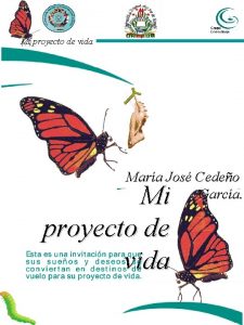 Mision proyecto de vida