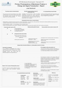 SFB Molekulare Bioenergetik Teilprojekt P 27 Primary Photoreactions