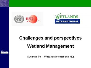 Challenges and perspectives Wetland Management Susanna Tol Wetlands