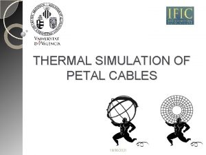 THERMAL SIMULATION OF PETAL CABLES 19062021 INTRODUCTION 1