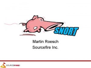 Martin Roesch Sourcefire Inc Topics Background What is