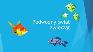 Podwodny wiat zwierzt Podwodna gimnastyka buzi i jzyka