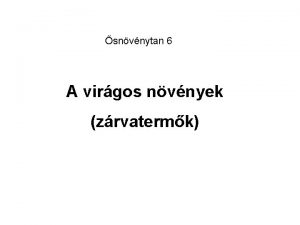 snvnytan 6 A virgos nvnyek zrvatermk Zrvatermk szaporodsa