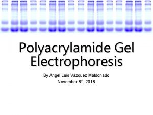 Polyacrylamide Gel Electrophoresis By Angel Luis Vzquez Maldonado