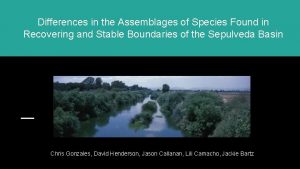 Differences in the Assemblages of Species Found in