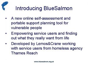 Introducing Blue Salmon A new online selfassessment and