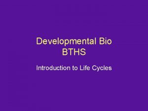 Developmental Bio BTHS Introduction to Life Cycles Todays