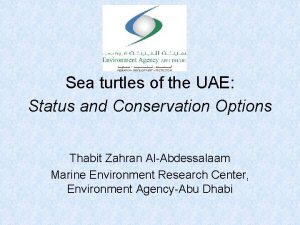 Sea turtles of the UAE Status and Conservation
