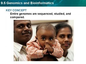 9 5 Genomics and Bioinformatics KEY CONCEPT Entire