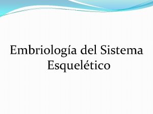 Embriologa del Sistema Esqueltico Desarrollo Embriolgico del Esqueleto