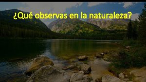 Qu observas en la naturaleza LOS RECURSOS NATURALES