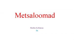 Metsaloomad Merliin Kollamaa 6 a Karu Eelistab elada