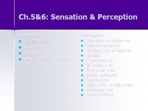 Ch 56 Sensation Perception Sensation n Thresholds n