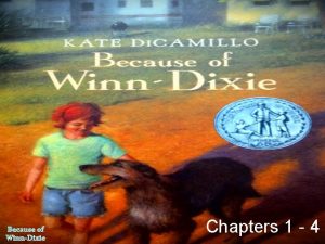 Because of WinnDixie Chapters 1 4 skidded Definition