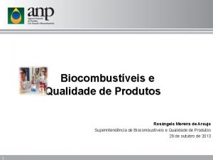 Biocombustveis e Qualidade de Produtos Rosngela Moreira de