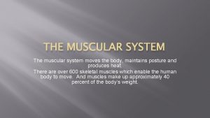 THE MUSCULAR SYSTEM The muscular system moves the