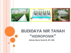 BUDIDAYA NIR TANAH HIDROPONIK Adinda Nurul Huda M