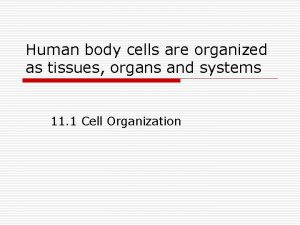 Human body cells are organized as tissues organs