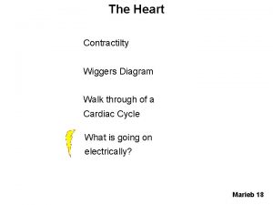 The Heart Contractilty Wiggers Diagram Walk through of