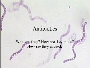 Antibiotics What are they How are they made