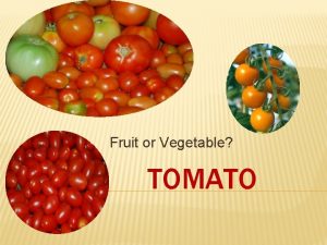 Fruit or Vegetable TOMATO TOMATO KING OF THE