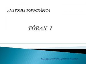 ANATOMIA TOPOGRFICA TRAX I Prof Me JOS FRANCISCO