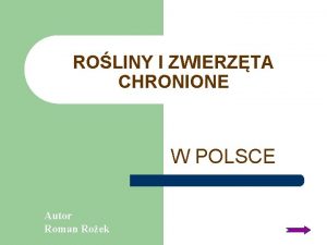 ROLINY I ZWIERZTA CHRONIONE W POLSCE Autor Roman