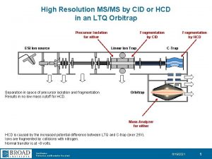 High Resolution MSMS by CID or HCD in