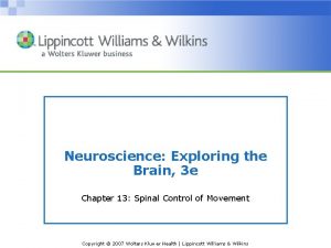 Neuroscience Exploring the Brain 3 e Chapter 13