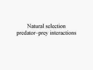Natural selection predatorprey interactions Ecological interactions between organisms
