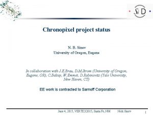 Chronopixel project status N B Sinev University of