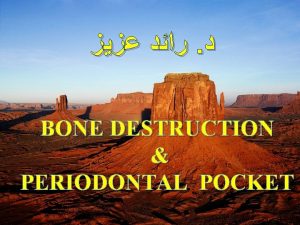 Defense Mechanisms of the Gingiva BONE DESTRUCTION PERIODONTAL