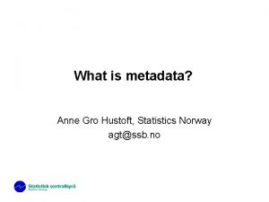 What is metadata Anne Gro Hustoft Statistics Norway