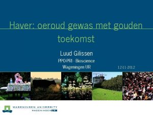 Haver oeroud gewas met gouden toekomst Luud Gilissen