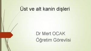 st ve alt kanin dileri Dr Mert OCAK