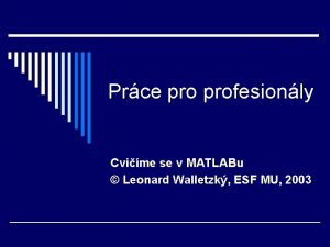 Prce profesionly Cvime se v MATLABu Leonard Walletzk