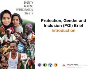 Protection Gender and Inclusion PGI Brief Introduction Protection