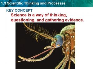 1 3 Scientific Thinking and Processes KEY CONCEPT