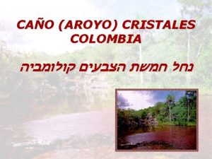 CAO AROYO CRISTALES COLOMBIA Por qu me gusta