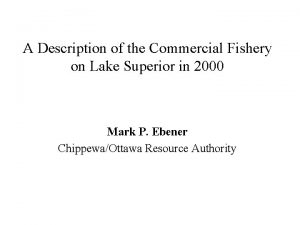 A Description of the Commercial Fishery on Lake