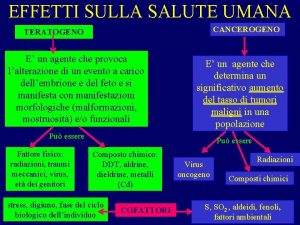 EFFETTI SULLA SALUTE UMANA CANCEROGENO TERATOGENO E un