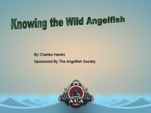 By Charles Hawks Sponsored By The Angelfish Society