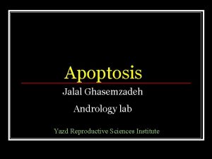 Apoptosis Jalal Ghasemzadeh Andrology lab Yazd Reproductive Sciences
