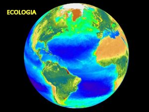 ECOLOGIA ECOLOGIA Ecologia o estudo cientfico dos processos