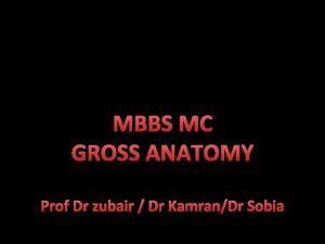 MBBS MC GROSS ANATOMY Prof Dr zubair Dr